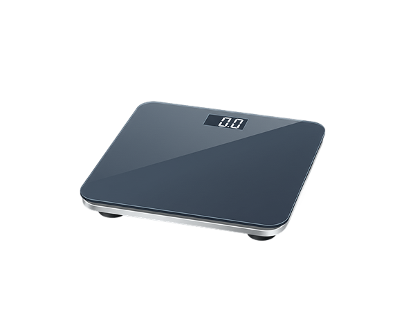 Digital Scale